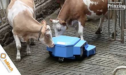 Der hochmoderne und innovative Serviceroboter PRIBOT reinigt vollautomatisch und selbständig Spaltenböden in Rinderställen.