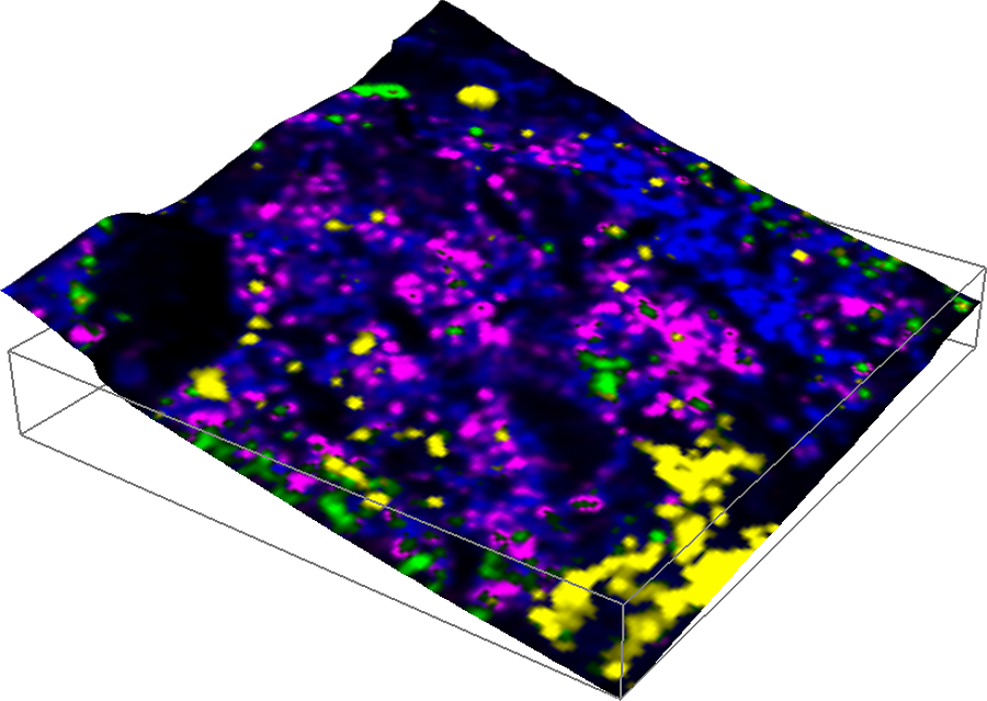 Geological sample analyzed with combined TrueSurface Microscopy and confocal Raman Imaging