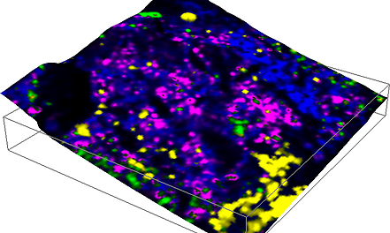 Geological sample analyzed with combined TrueSurface Microscopy and confocal Raman Imaging