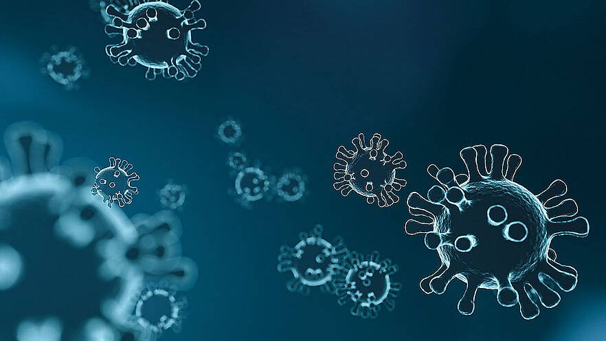 Antivirale Wirkstoffe und neue Testmodelle