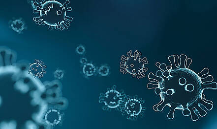 Antivirale Wirkstoffe und neue Testmodelle