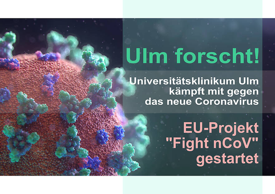 EU-Projekt sagt neuem Coronavirus den Kampf an