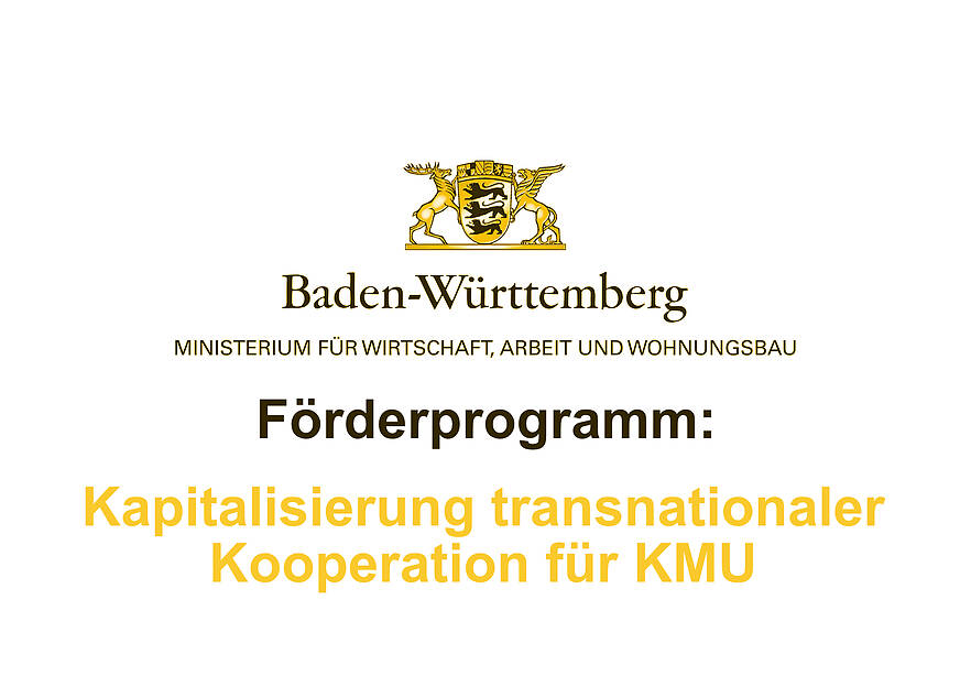 Förderprogramm: Kapitalisierung transnationaler Kooperation für KMU