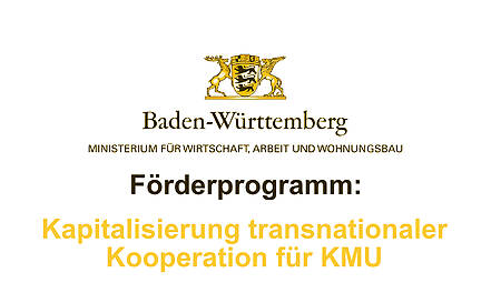 Förderprogramm: Kapitalisierung transnationaler Kooperation für KMU