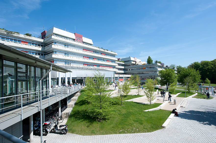 Vier der weltweit einflussreichsten Wissenschaftler in ihrem Fachgebiet forschen an der Universität Ulm.