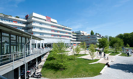 Vier der weltweit einflussreichsten Wissenschaftler in ihrem Fachgebiet forschen an der Universität Ulm.