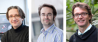 Prof. Fedor Jelezko, Prof. Martin Plenio und Prof. Steven Jansen